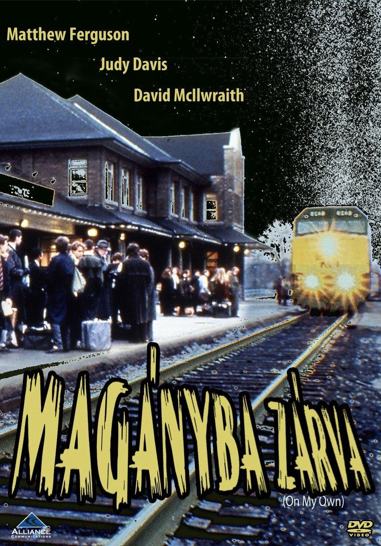 Mag&aacute;nyba z&aacute;rva (1993)