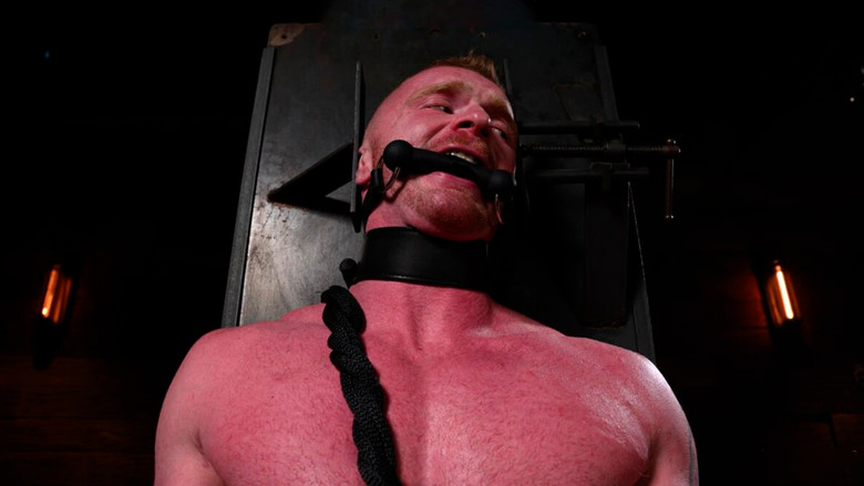 The Adventure of Brody Fox