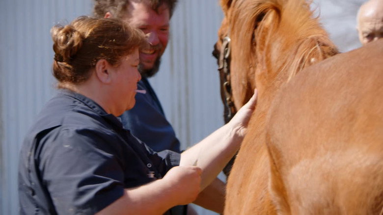 Still from The Incredible Dr. Pol - Season 24 Episode 7