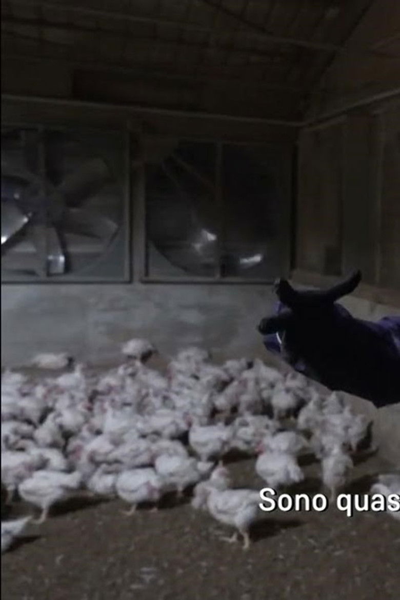 Imatge de La fabbrica della carne