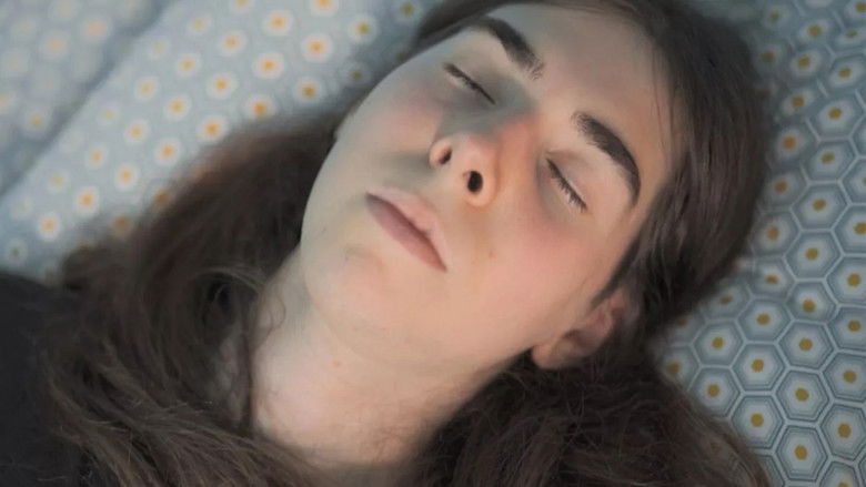 Jeunesse en (re)transition, trouver sa voie (2024)