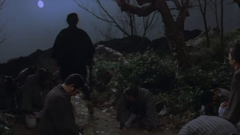 watch Zatoichi and the Chest of Gold now
