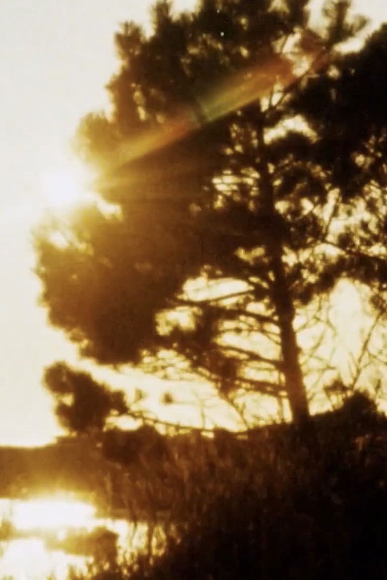 Imatge de Matter of Clarity