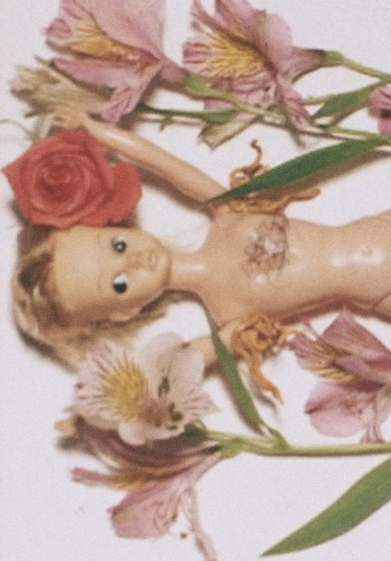 Imatge de バラ科たんぽぽ