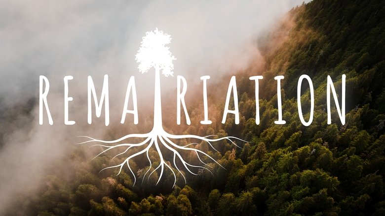 Rematriation main backdrop