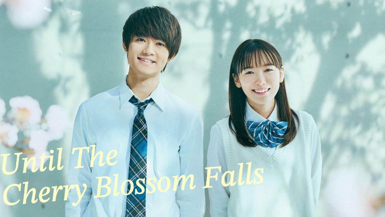 Until The Cherry Blossom Falls image 3