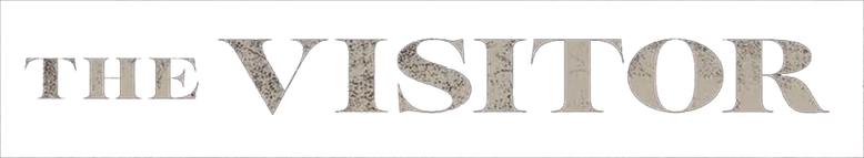 Imagen de El Visitante