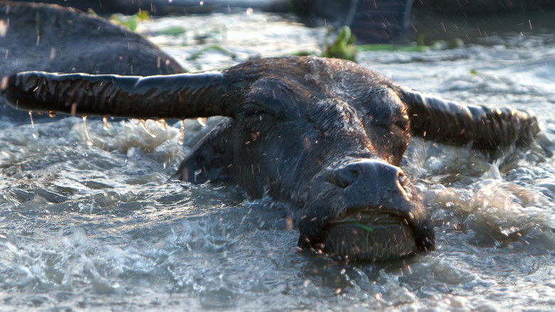 Still image for Wonders of the Monsoon season 1 episode 2: Deluge