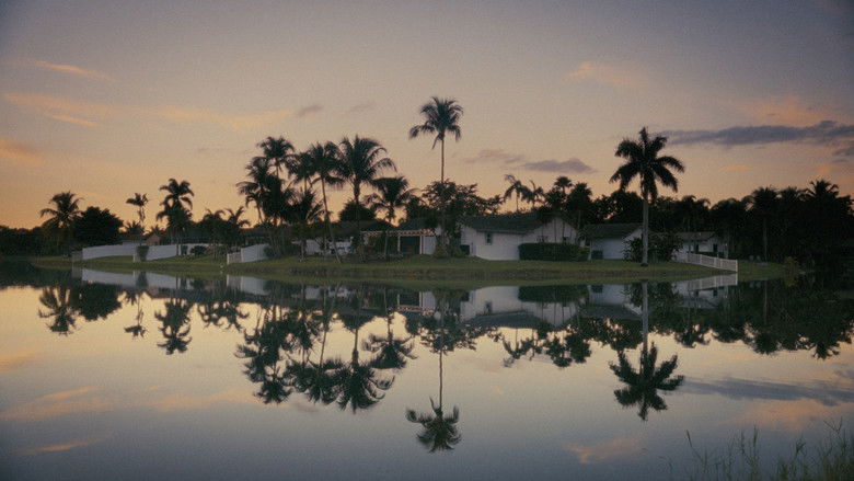 Imatge de La Inmortalidad De La Cangreja
