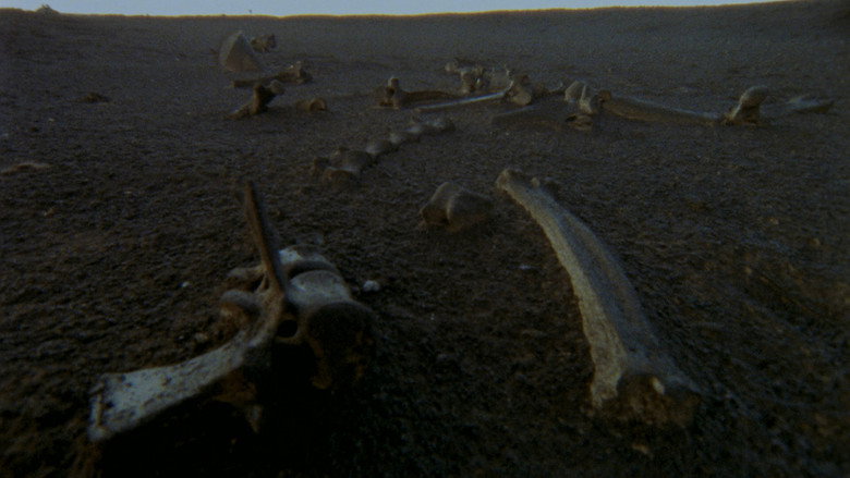scenes 28