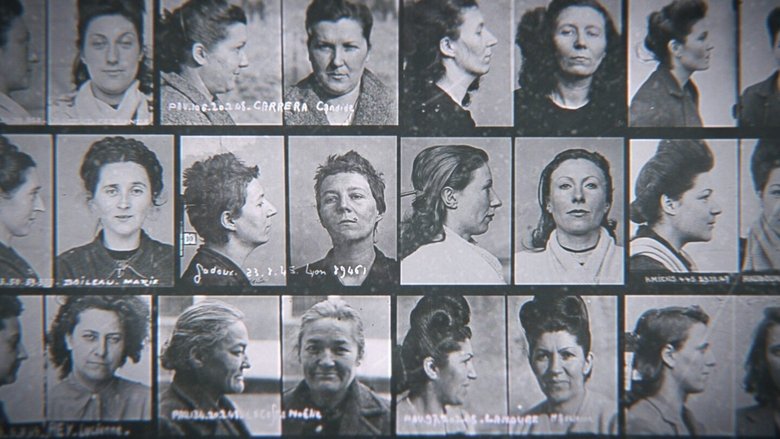 Gallery image from cbaBlXjzD2E7tTq8e3Niha37mMk.jpg