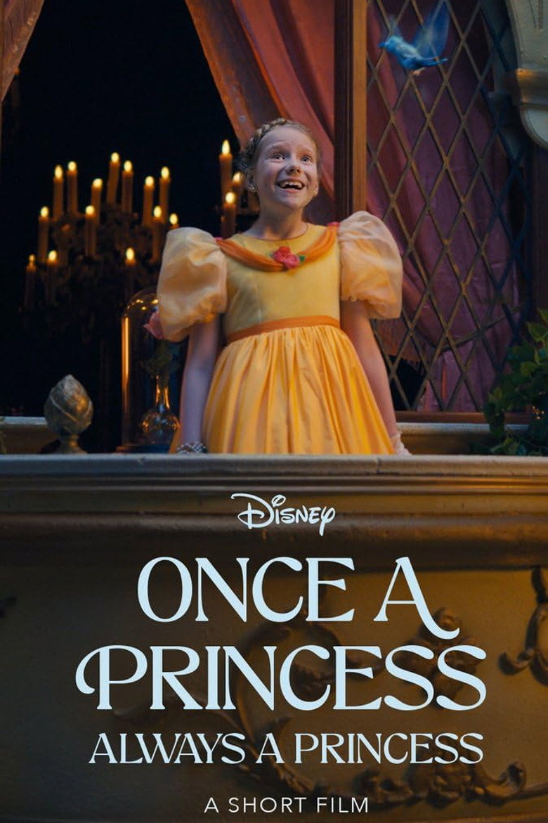 Once a Princess, Always a Princess poster