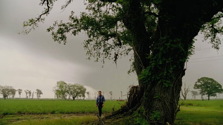 True Detective backdrop 97