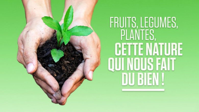 Still image for Les Pouvoirs extraordinaires du corps humain season 1 episode 23: Episode 23