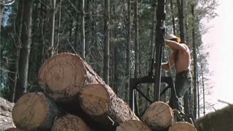 Life in Australia: Mount Gambier (1964)