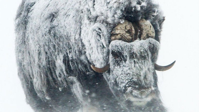 Still image for Le Peuple des forêts season 1 episode 1: Episode 1 Still image for Le Peuple des forêts season 1 episode 1: Episode 1