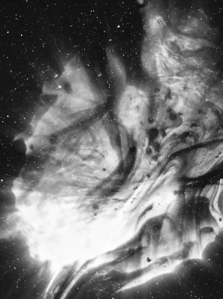 Imatge de Stellar Iris