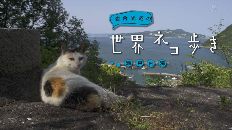 Still image for Mitsuaki Iwago's World “Cats” Travelogue season 1 episode 9: Seto Inland Sea Still image for Mitsuaki Iwago's World “Cats” Travelogue season 1 episode 9: Seto Inland Sea