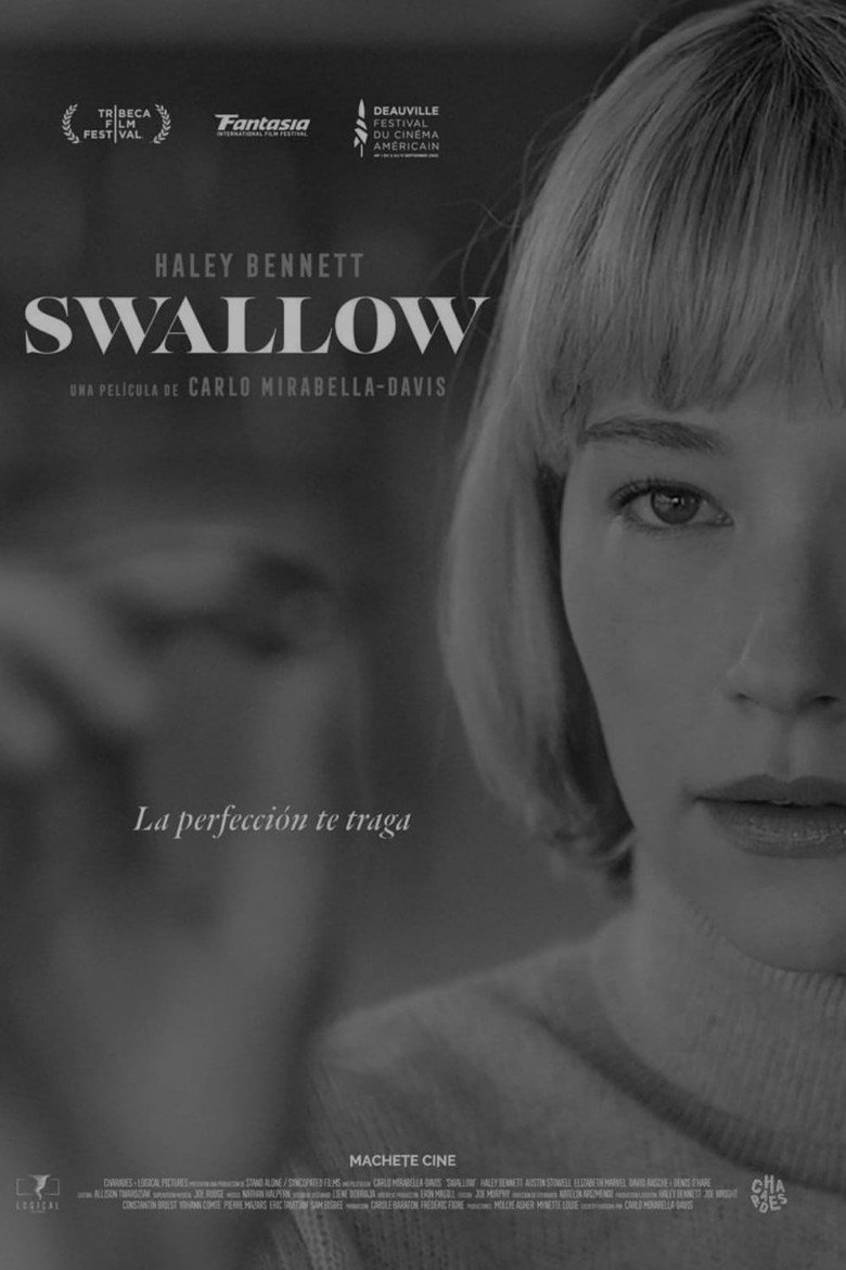 Imatge de Swallow