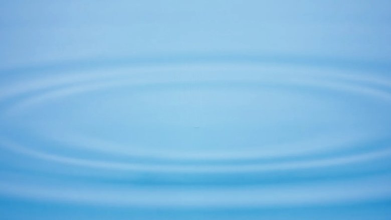 Gallery image from ceoIJZOnkP1MPf2ILXof758pRBv.jpg