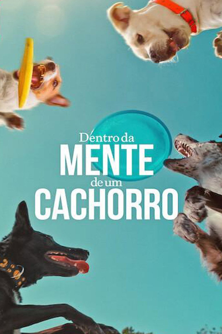 Póster la Película