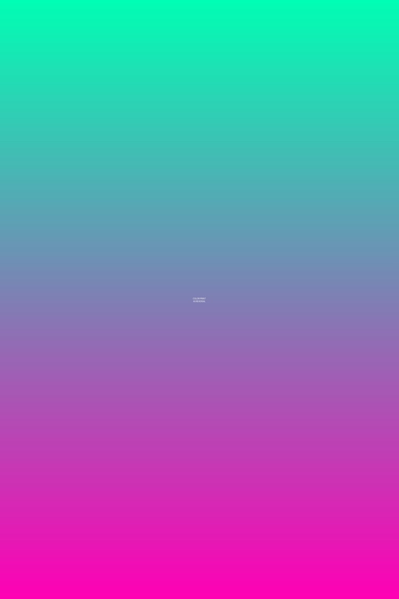Imatge de Color Print as Reversal