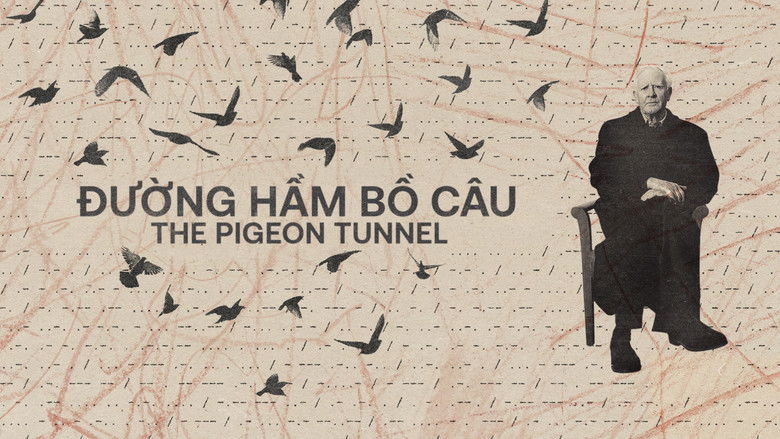 Cglz27yogaye5t2rjuwptm3m11q