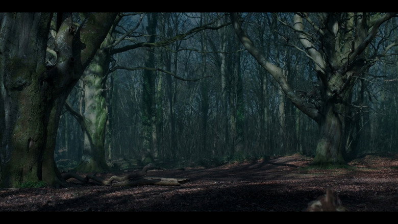 In Fear 8