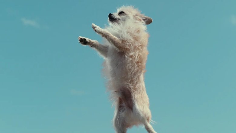 Inside the Mind of a Dog (2024)