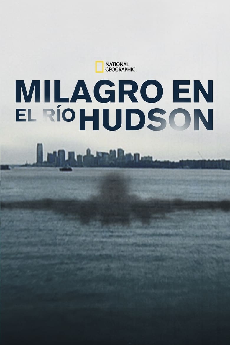 Milagro en el río Hudson (2014)