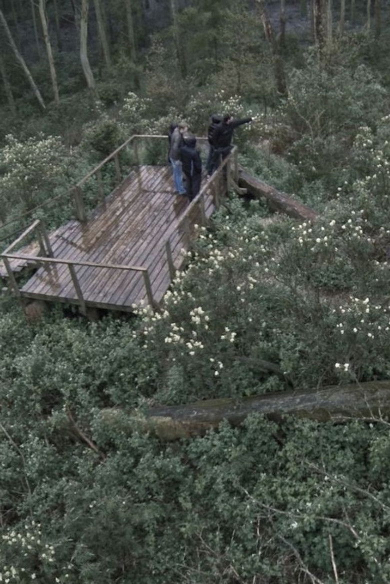 Imatge de Rūgštus miškas