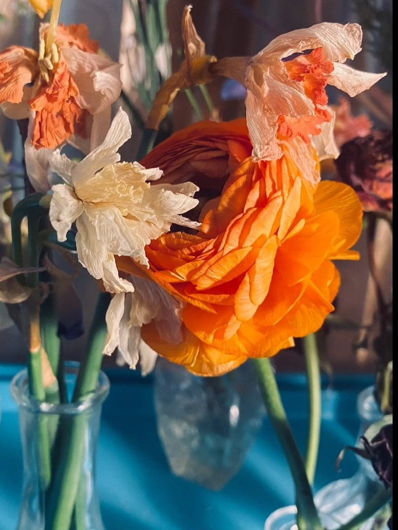 Blooming background