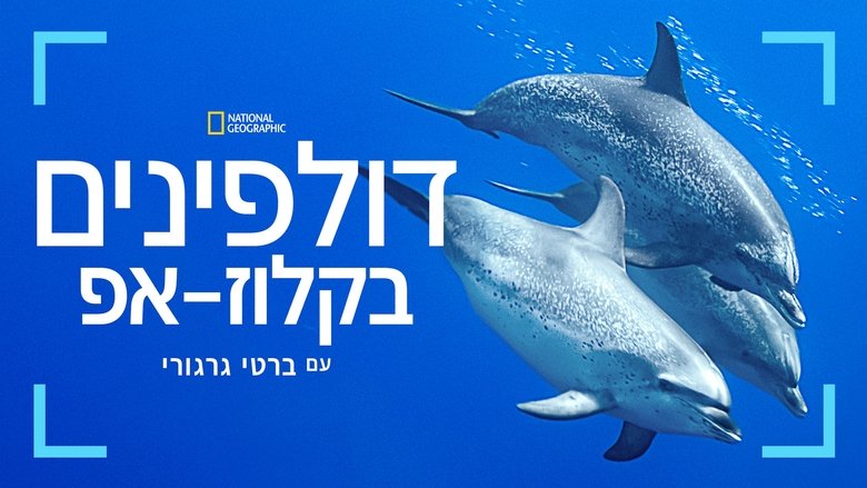 Dolphins Up Close with Bertie Gregory (2025)