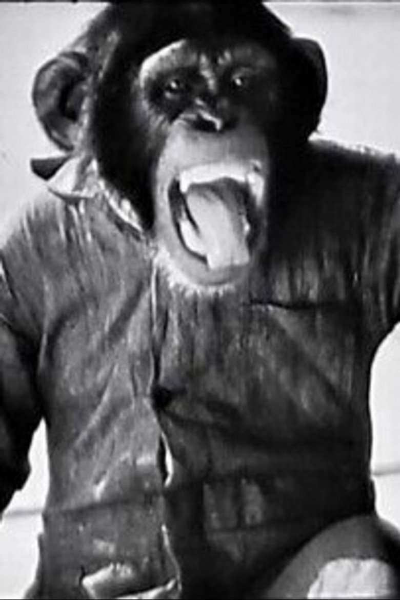 Chimp The Aviator background