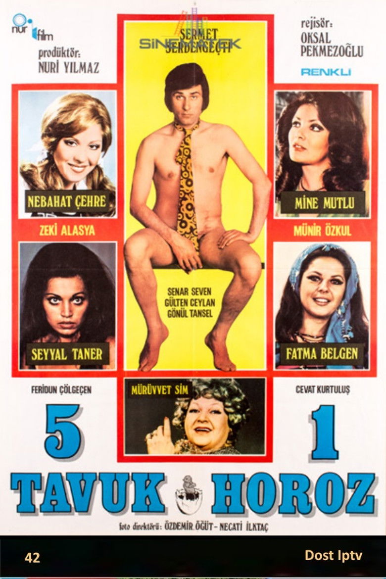 Imatge de Beş Tavuk Bir Horoz