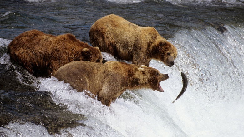 Wildes Alaska - Sommerfrische