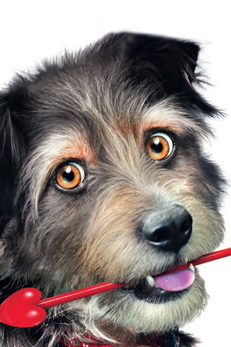 Imatge de Gabe the Cupid Dog