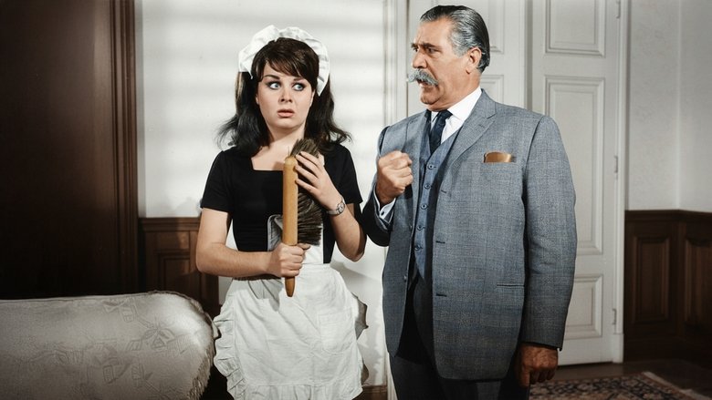 Hizmetçi Dediğin Böyle Olur (1964)