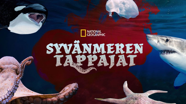 Gallery image from cjeYKqpL6EFlO9ikrbotYb9WX06.jpg