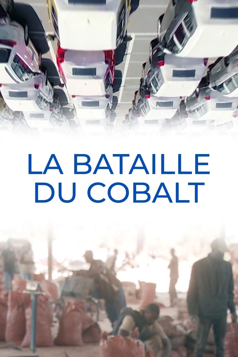 La bataille du cobalt (2022)