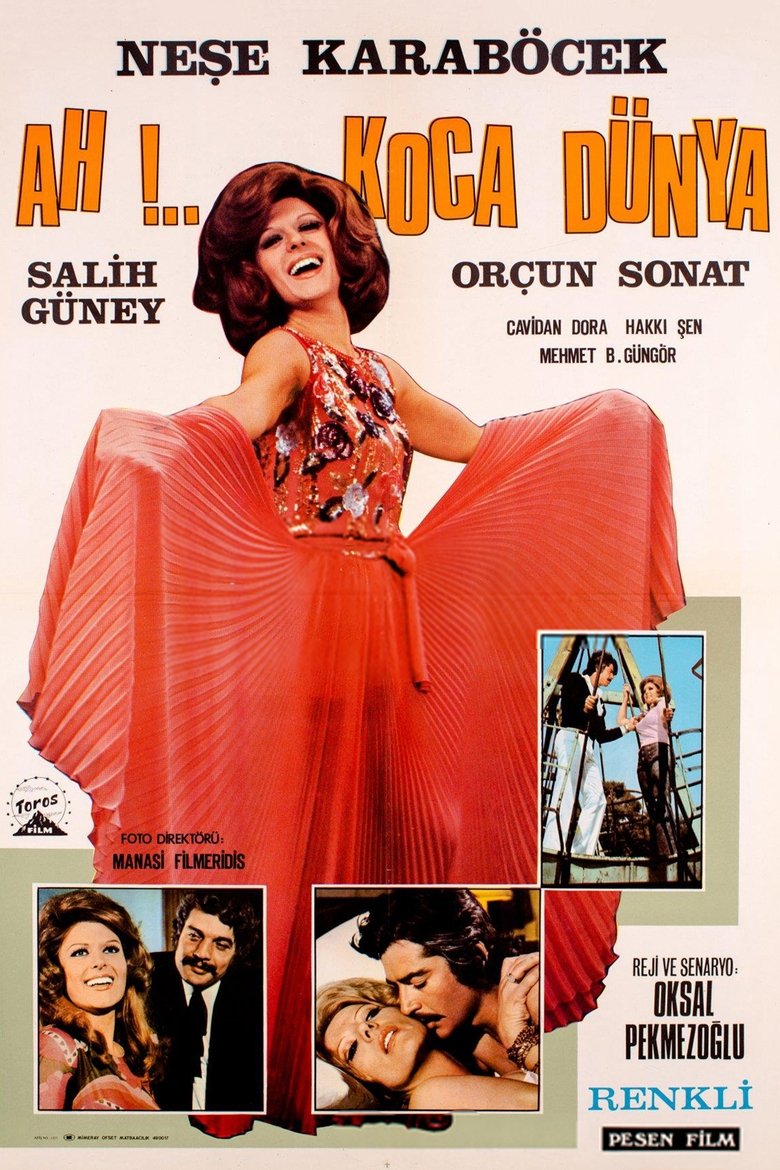 Ah Koca Dünya (1972)