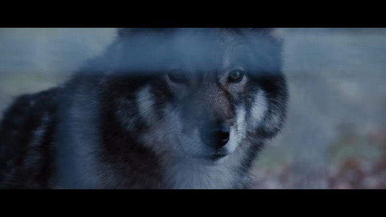 Frame from 헤드 버스트