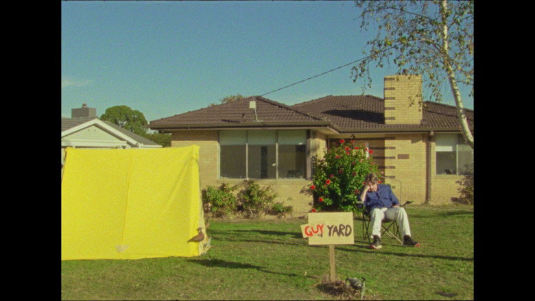 Imatge de the guy that lives on my front yard