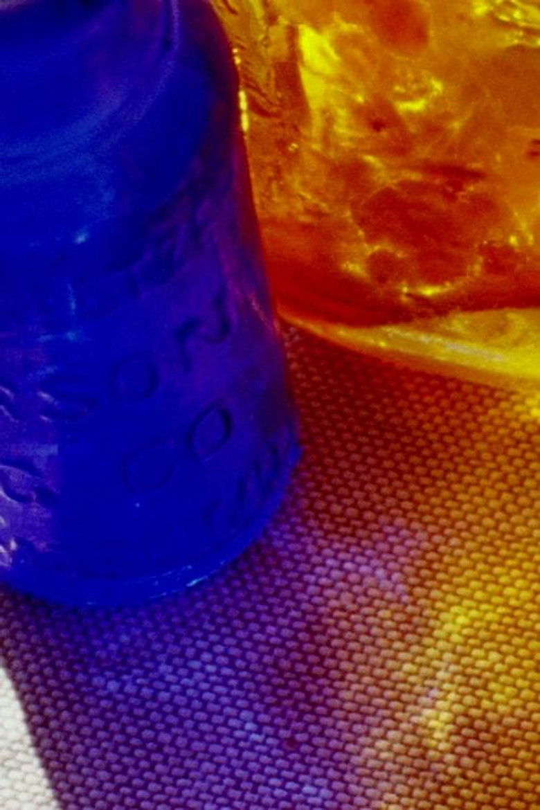 Imatge de What Places of Heaven, What Planets Directed, How Long the Effects? or, The General Accidents of the World