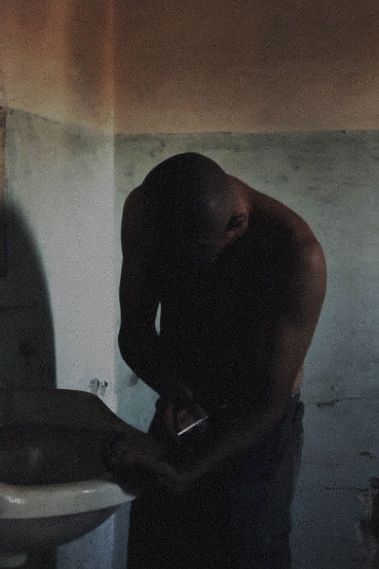 Imatge de White Noise