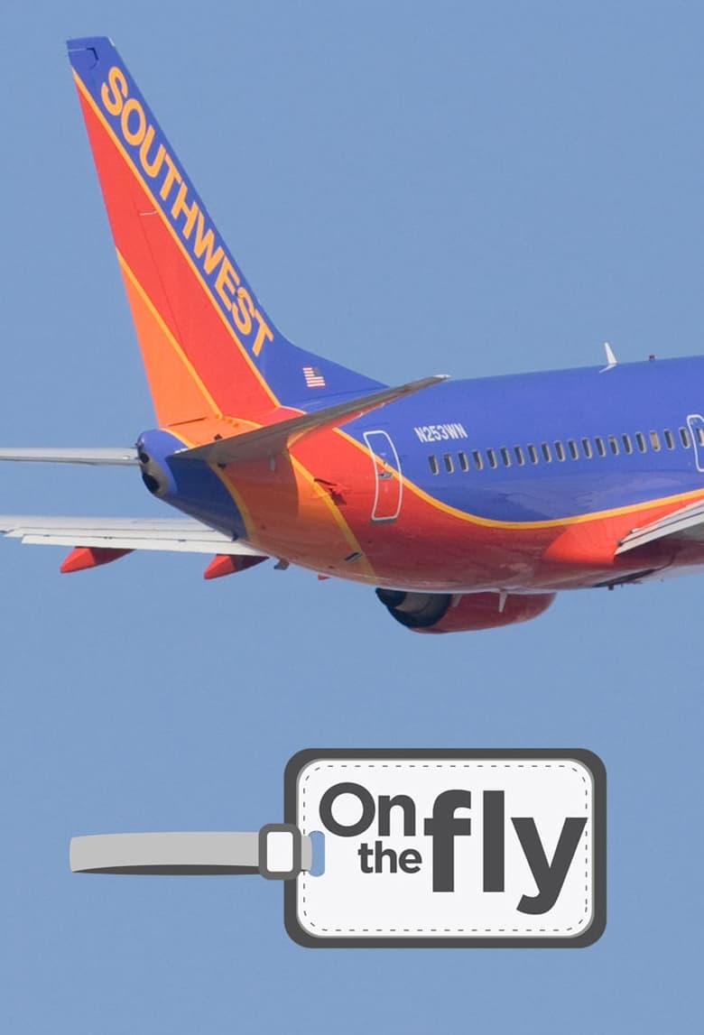 On the Fly poster
