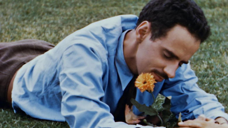 Neighbours backdrop 4