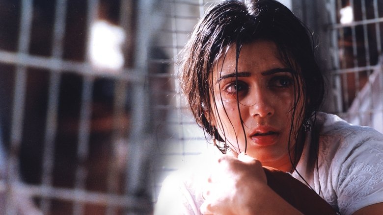 Gallery image from cmdrGCkbqL9CODVSmsUTnm5Etxm.jpg