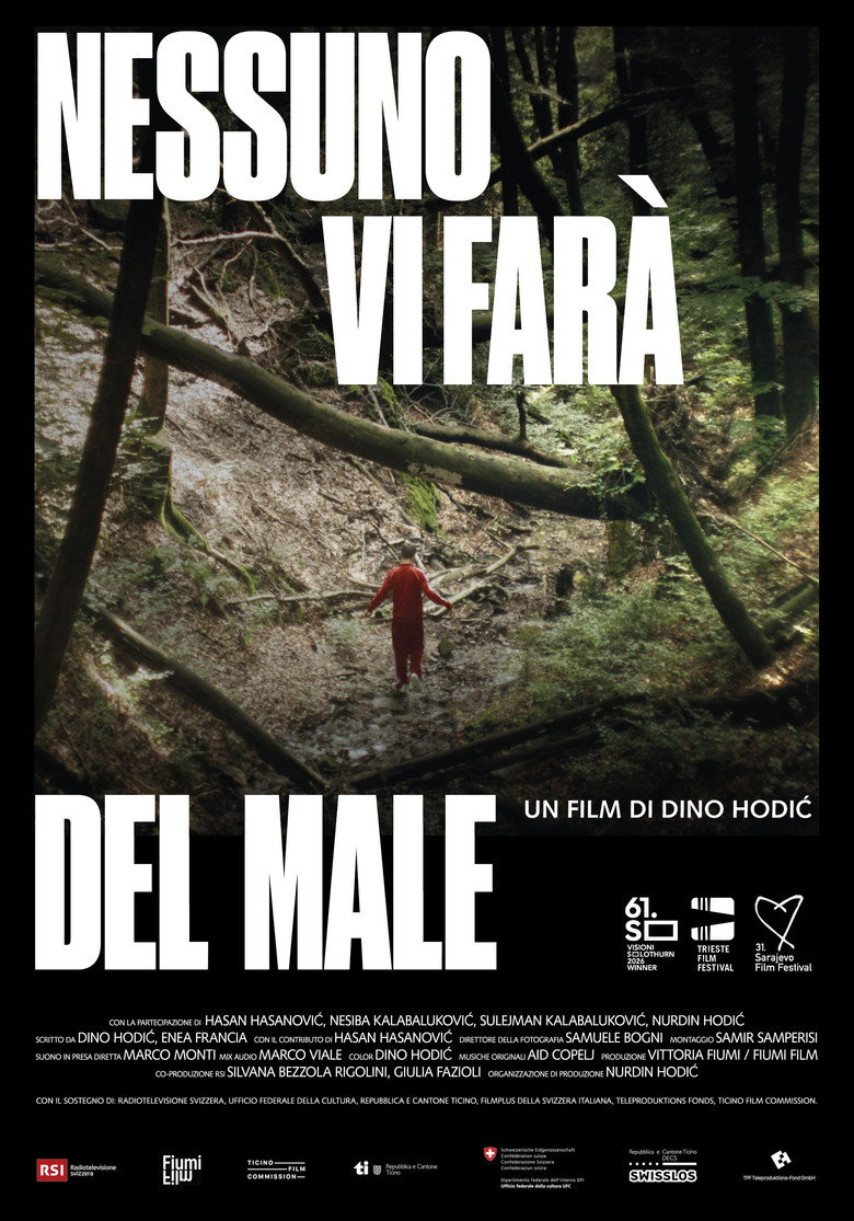 Imatge de Nessuno vi farà del male