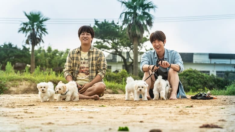 Nonton Film My Heart Puppy (2023) Subtitle Indonesia - Filmapik